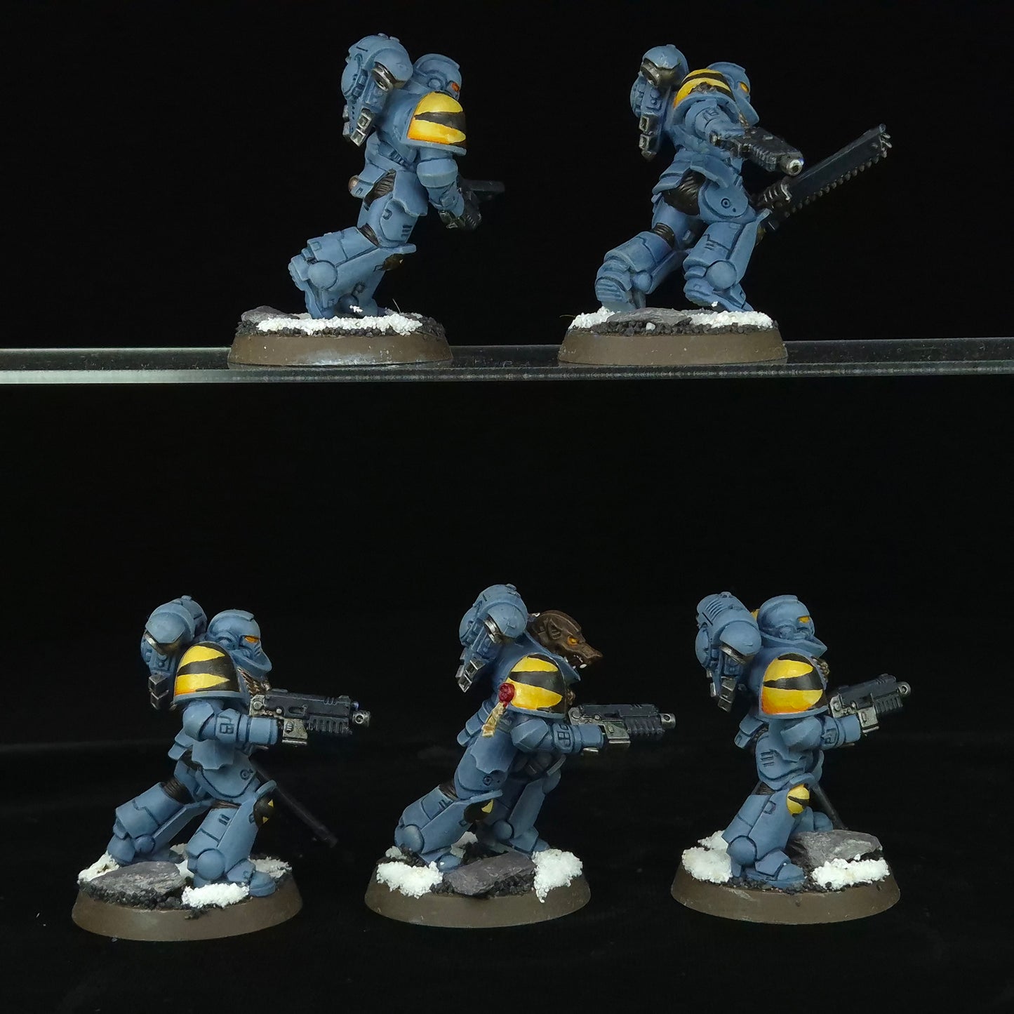 Assault Intercessors - Space Wolves - Space Marines - Warhammer 40k