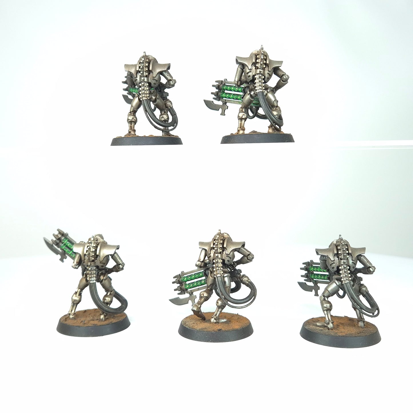 Immortals - Sautekh - Necrons - Warhammer 40k