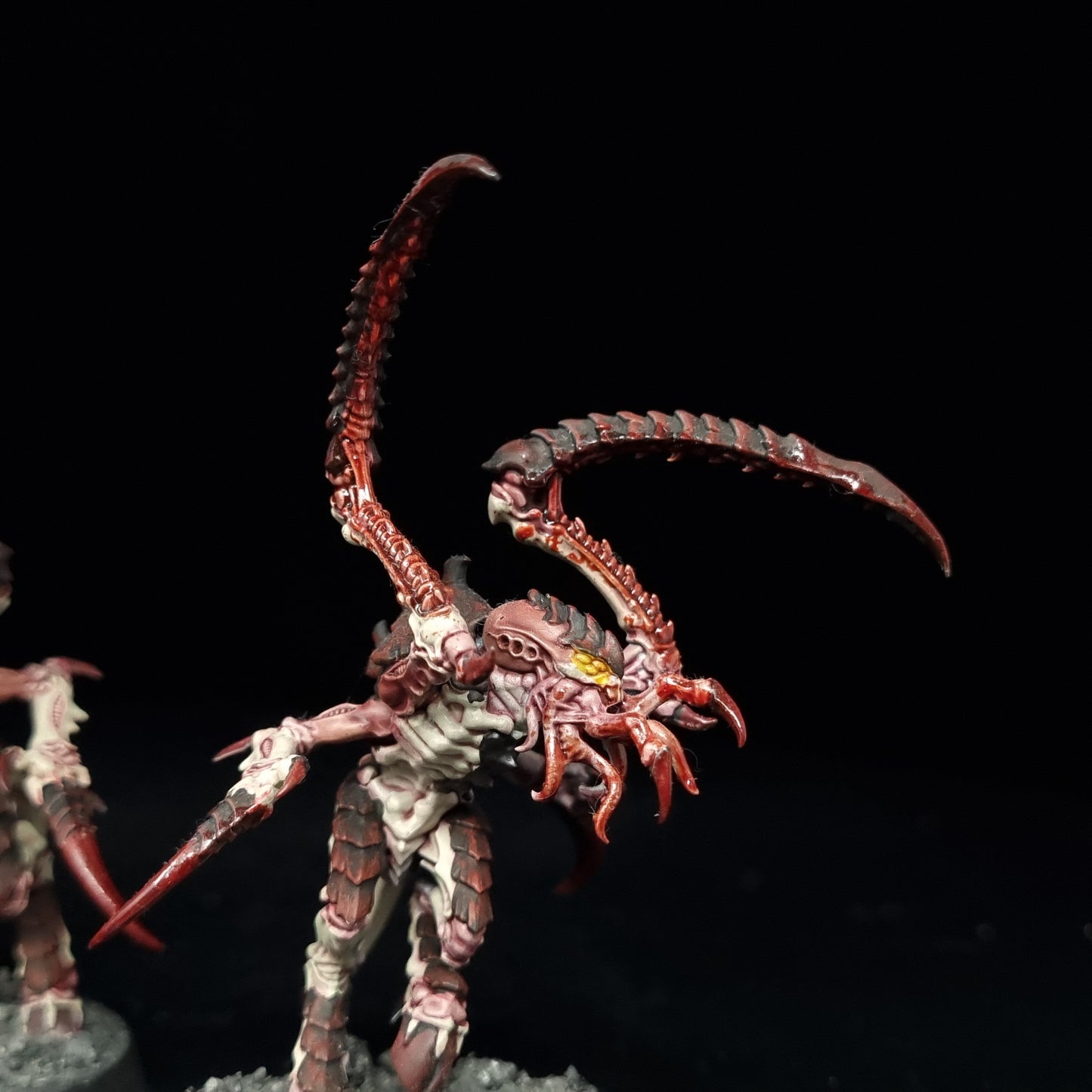 Von Ryan's Leapers - Hive Fleet Kraken - Tyranids - Warhammer 40k