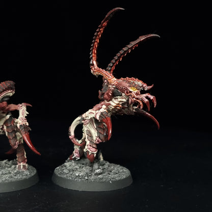 Von Ryan's Leapers - Hive Fleet Kraken - Tyranids - Warhammer 40k