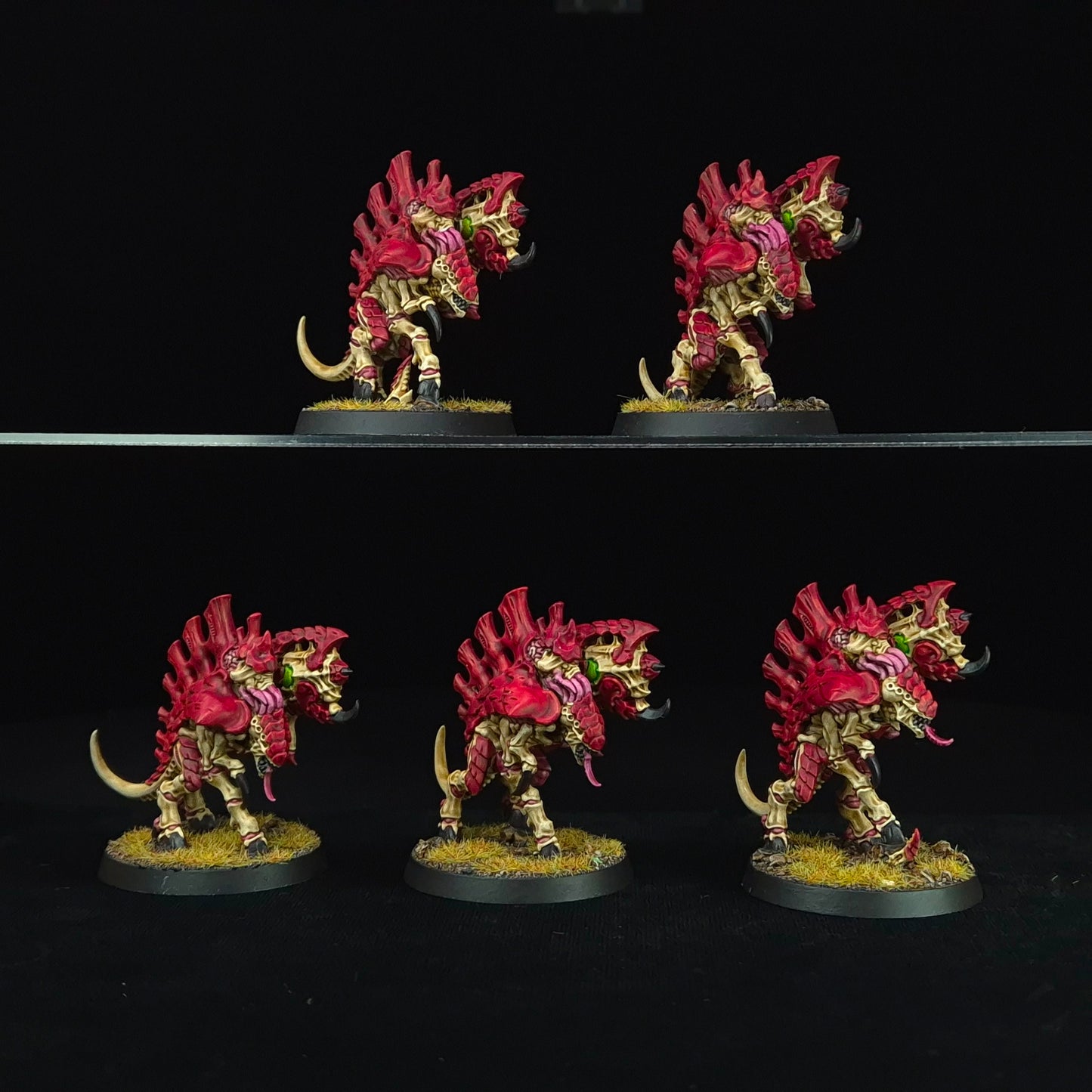 Barbgaunts - Kraken - Tyranids - Warhammer 40k