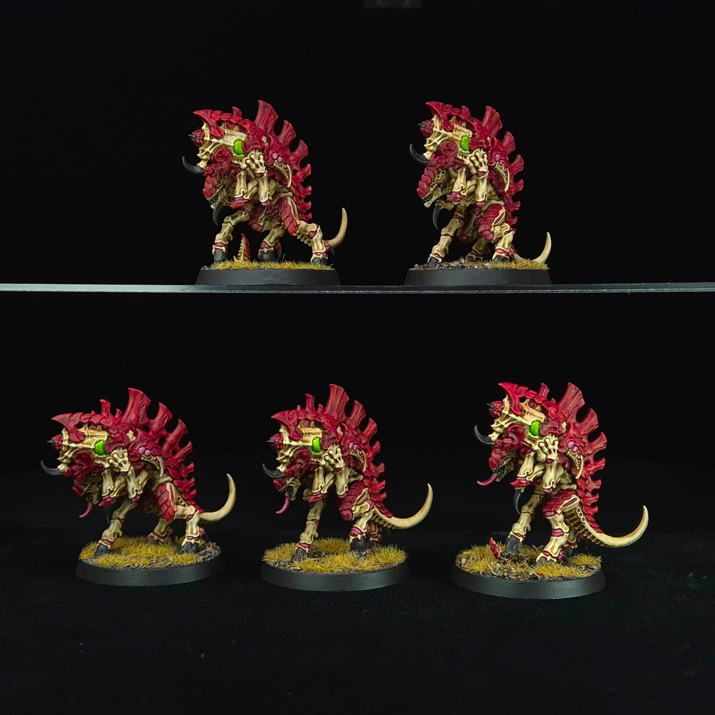 Barbgaunts - Kraken - Tyranids - Warhammer 40k