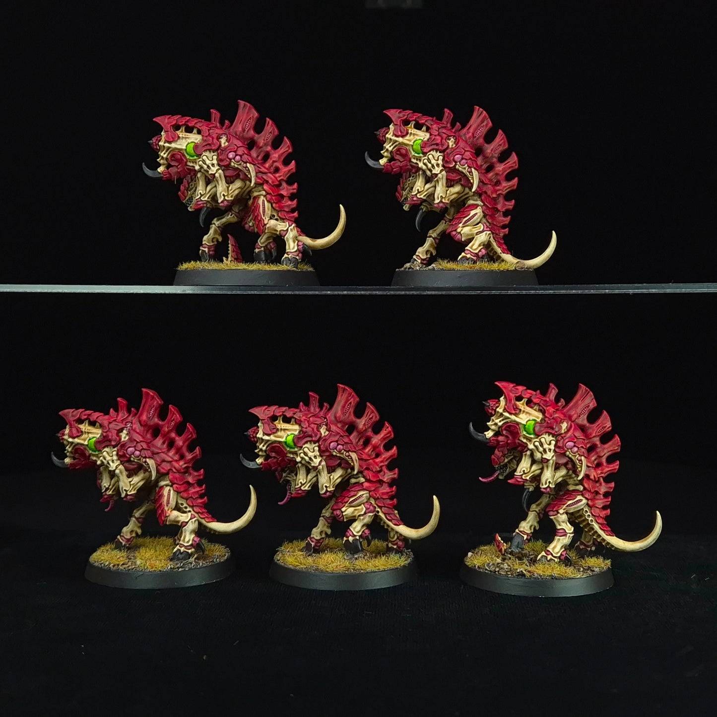 Barbgaunts - Kraken - Tyranids - Warhammer 40k