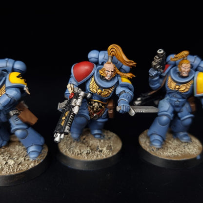 Intercessors - Space Wolves - Space Marines - Warhammer 40k