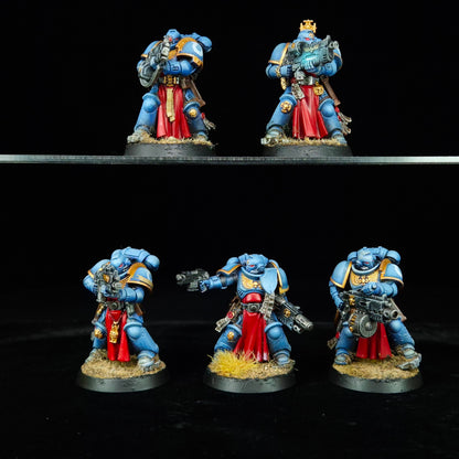 Sternguard Veterans - Ultramarines - Space Marines - Warhammer 40k