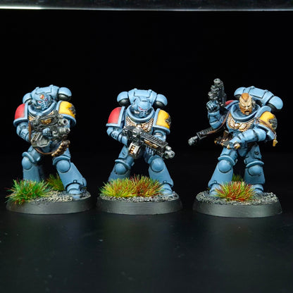 Intercessors - Space Wolves - Space Marines - Warhammer 40k