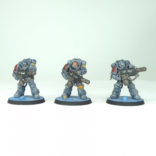 Eradicators - Space Wolves - Space Marines - Warhammer 40k