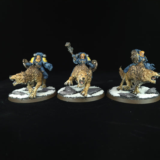 Thunderwolf Cavalry - Space Wolves - Space Marines - Warhammer 40k