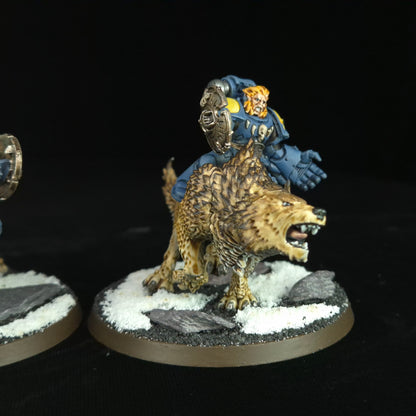 Thunderwolf Cavalry - Space Wolves - Space Marines - Warhammer 40k