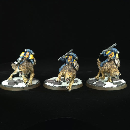 Thunderwolf Cavalry - Space Wolves - Space Marines - Warhammer 40k