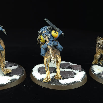 Thunderwolf Cavalry - Space Wolves - Space Marines - Warhammer 40k