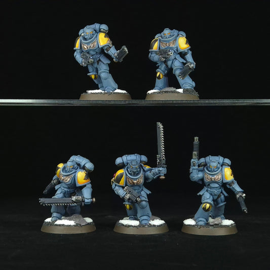 Assault Intercessors - Space Wolves - Space Marines - Warhammer 40k