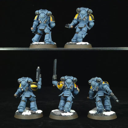 Assault Intercessors - Space Wolves - Space Marines - Warhammer 40k