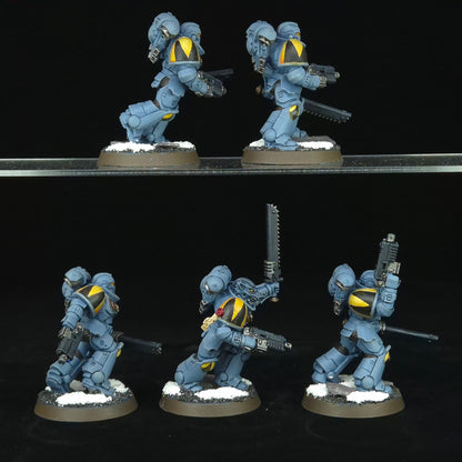 Assault Intercessors - Space Wolves - Space Marines - Warhammer 40k