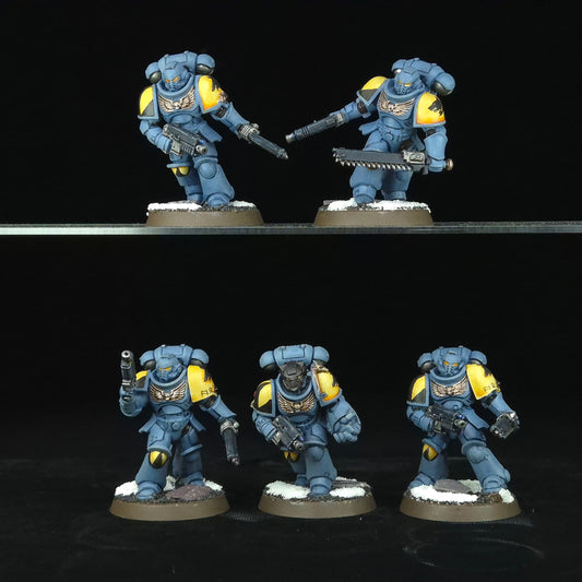 Assault Intercessors - Space Wolves - Space Marines - Warhammer 40k