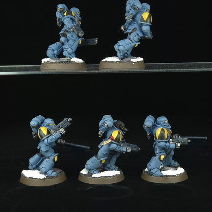 Assault Intercessors - Space Wolves - Space Marines - Warhammer 40k