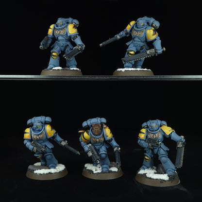 Assault Intercessors - Space Wolves - Space Marines - Warhammer 40k