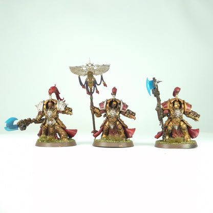 Allarus Terminators - Adeptus Custodes - Warhammer 40k