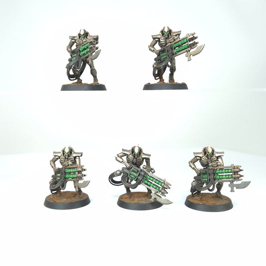 Immortals - Sautekh - Necrons - Warhammer 40k