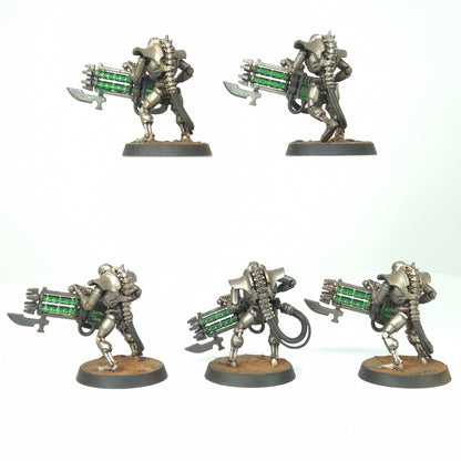 Immortals - Sautekh - Necrons - Warhammer 40k