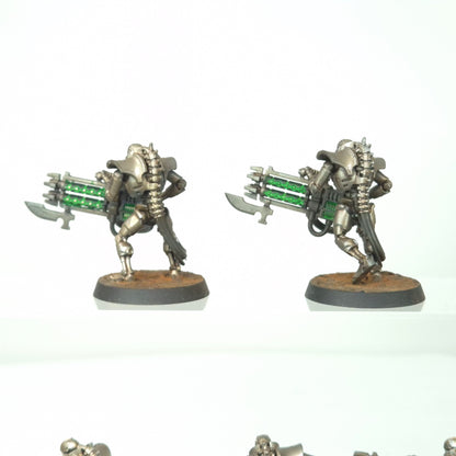 Immortals - Sautekh - Necrons - Warhammer 40k